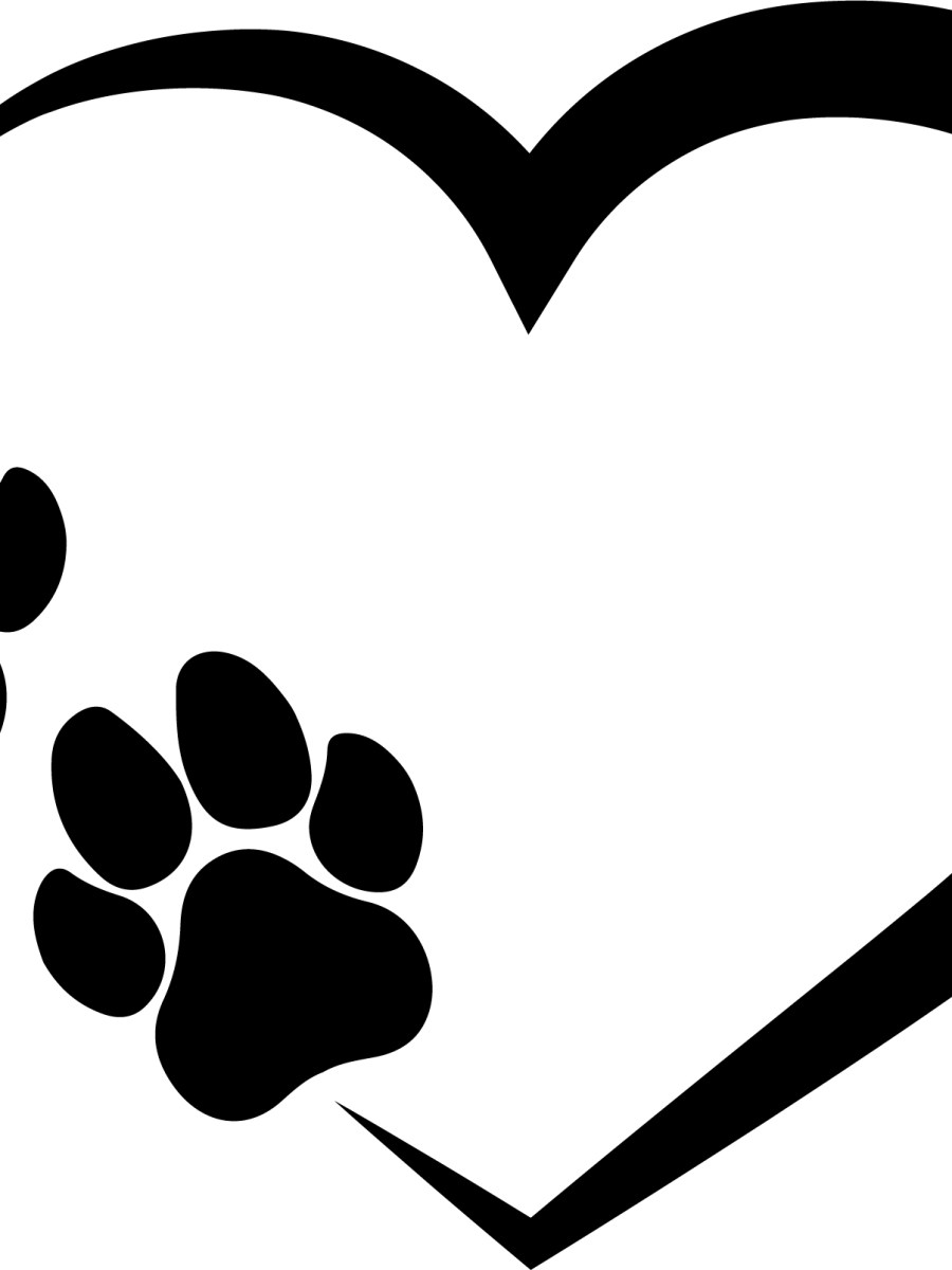 Livmoderinflammation